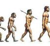 Evolution-Blog